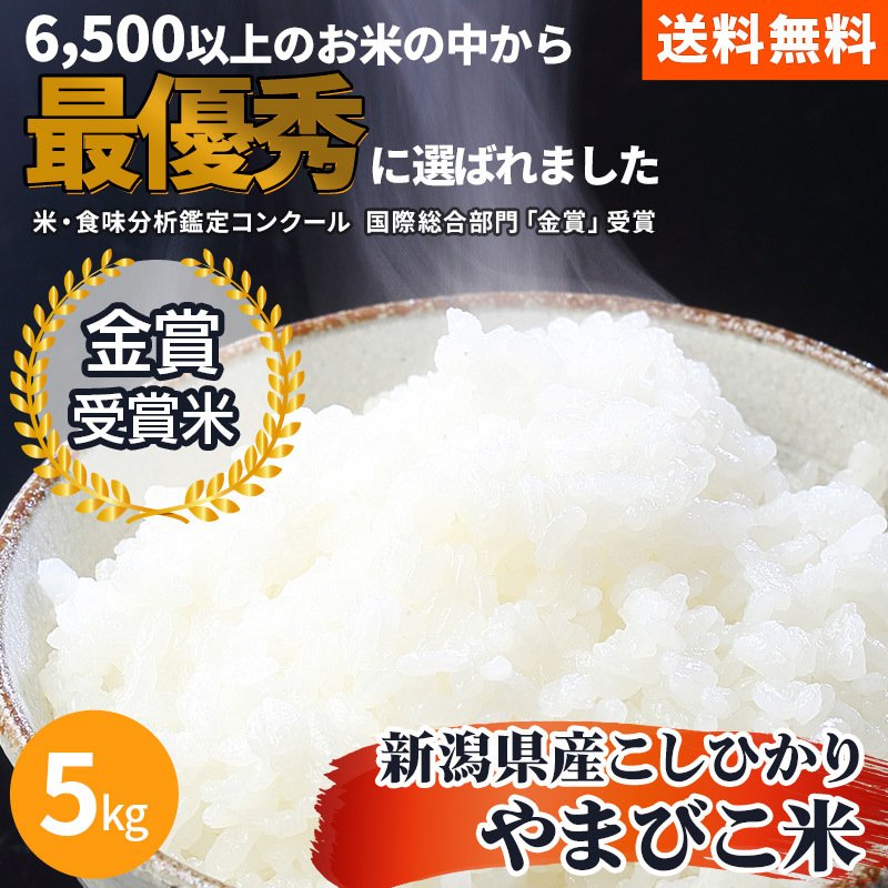 特別セール品 新潟県 ４年産 コシヒカリ 白米 10ｋｇ 10ｋｇ×１袋 お米 米