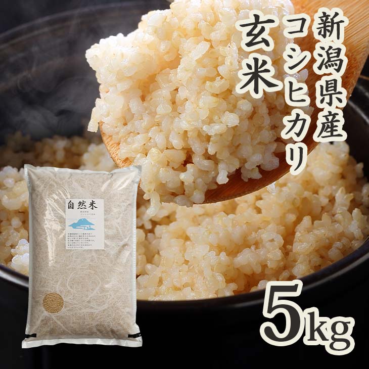 岡山産 とれたて無農薬バジル 2kg 2キロ 特価セール 岡山産 とれたて無農薬バジル 2kg - メルカリ