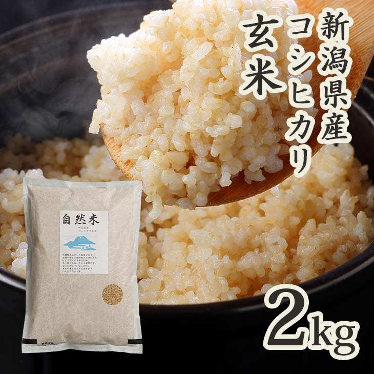 自然栽培 玄米 23kg コシヒカリ