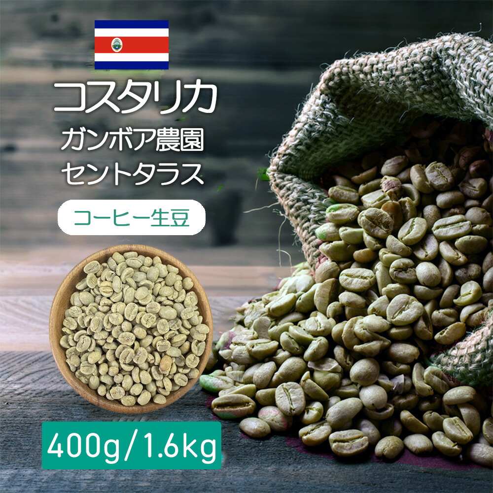 楽天市場】コーヒー豆 珈琲 元氣珈琲 コスタリカ ブレンド 300g 送料