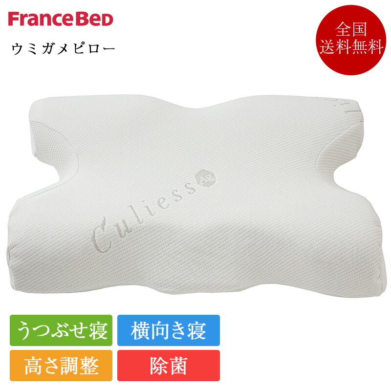 楽天市場】ウミガメピロー フランスベッド Umigame pillow キュリエス