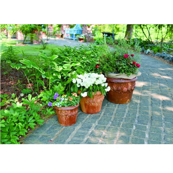 ラスティコ でかい中小起こす エクステリア 前栽園ファニチャー ガーデンオーナメント 外装923 924 925 ラスティコ 丼植え ポット 緑色 開花期 花やしき ガーデニング エクステリア ガーデン 庭 置物 鉢 オブジェ 着飾る 旨味しい イングリッシュガーデン