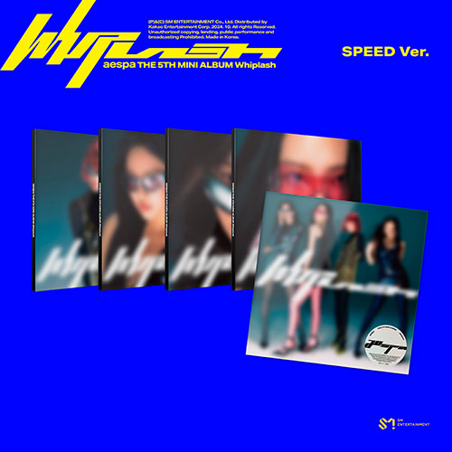 whipspeed_sum.jpg