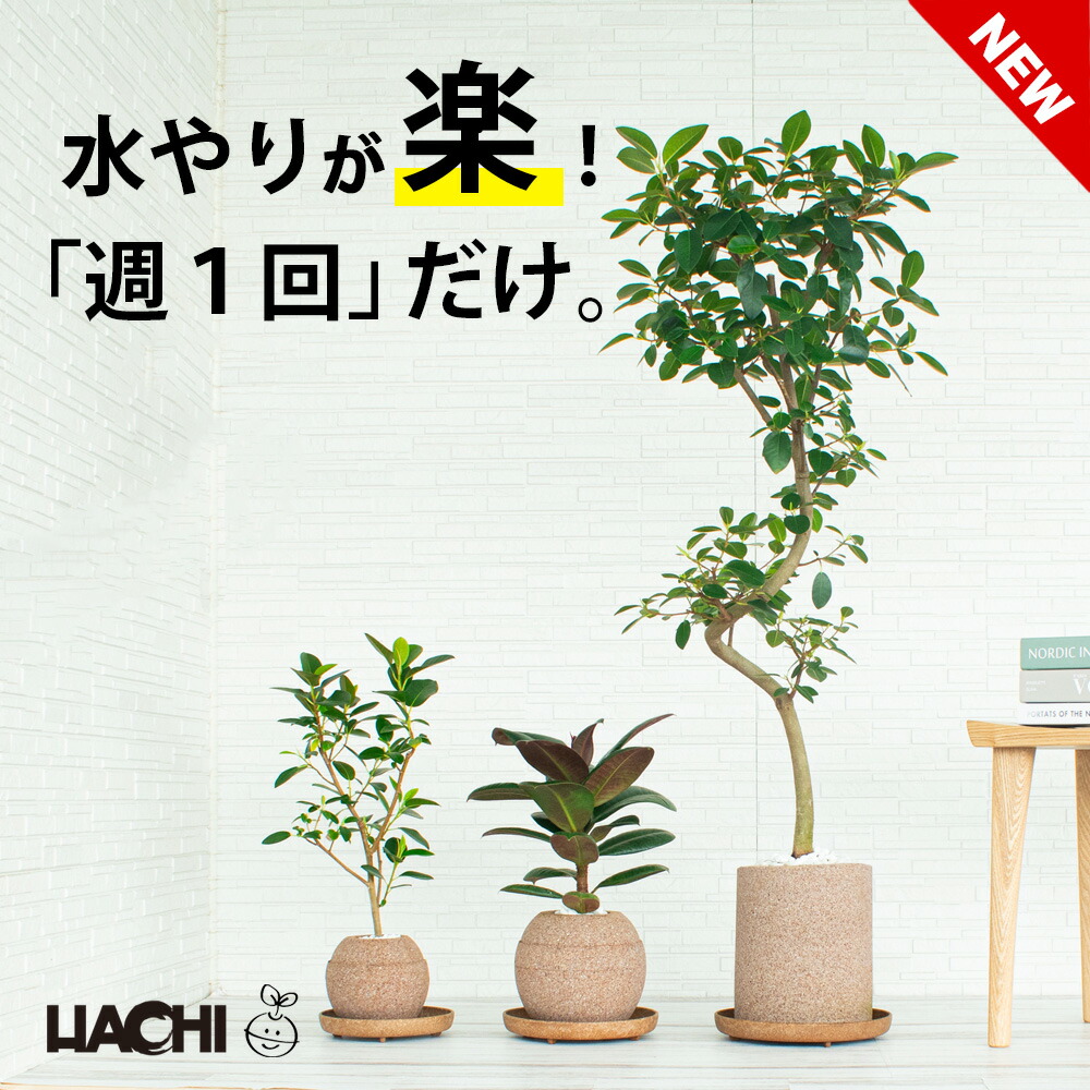 鉢・プランター AQUA gf10-07-403_rak_fu.jpg