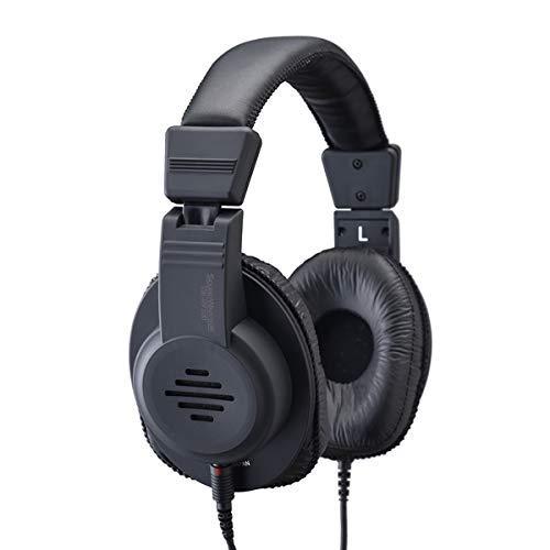 SOUND WARRIOR SW-HP100 セミオープン型ヘッドフォン サウンドウォーリア 城下工業 SWHP100|木漏れ日ショップ