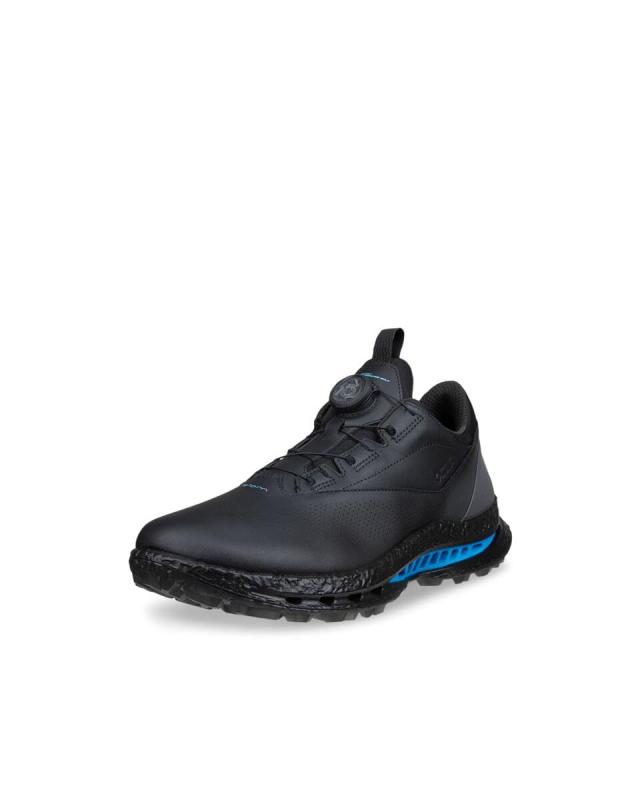 ecco(山びこ) メンズ ECCO M GOLF BIOM C5 メンズ 本革 スパイクレスゴルフシューズ GORE-TEX雨合羽スパイクレスゴルフシューズ