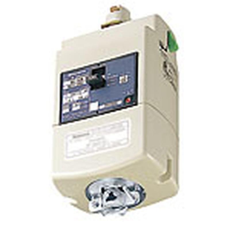 パナソニック(Panasonic) ファクトライン100・60共通 モータブレーカ付プラグ 1.5kW用 DH24875K1|木漏れ日ショップ