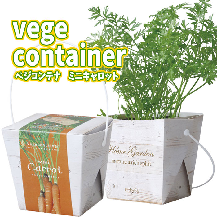楽天市場 ベジコンテナ ミニキャロット 栽培セット 野菜 栽培キット ガーデニング 室内園芸 キッチン菜園 キッチンガーデン アーテック やるcan