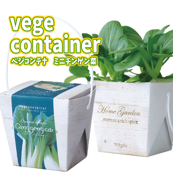 ベジコンテナ ミニチンゲンサイ 栽培キット 栽培セット 野菜 ガーデニング