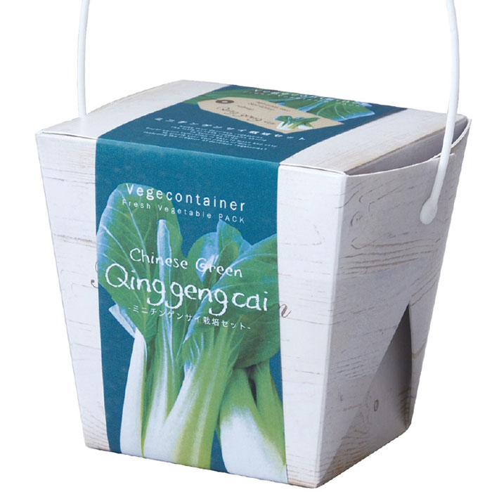 ベジコンテナ ミニチンゲンサイ 野菜 栽培キット 栽培セット ガーデニング
