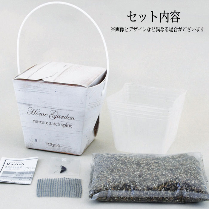 ベジコンテナ ミニチンゲンサイ 野菜 栽培キット 栽培セット ガーデニング