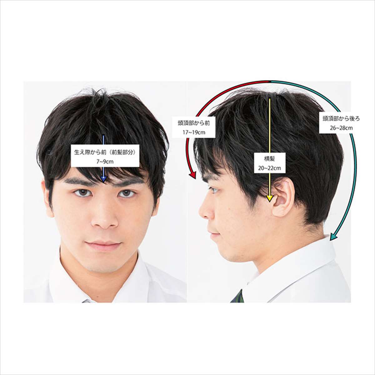 フルウィッグ Ano The 男性 Bl 黒髪 ビジネスショート ウィッグ Rme ショート メンズ