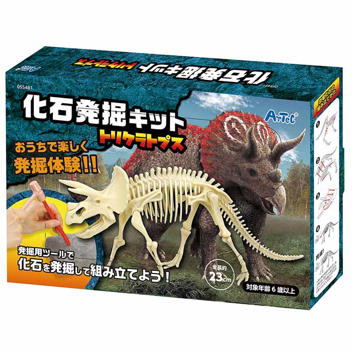 古生物/化石セット b094ms8wzz00.jpg