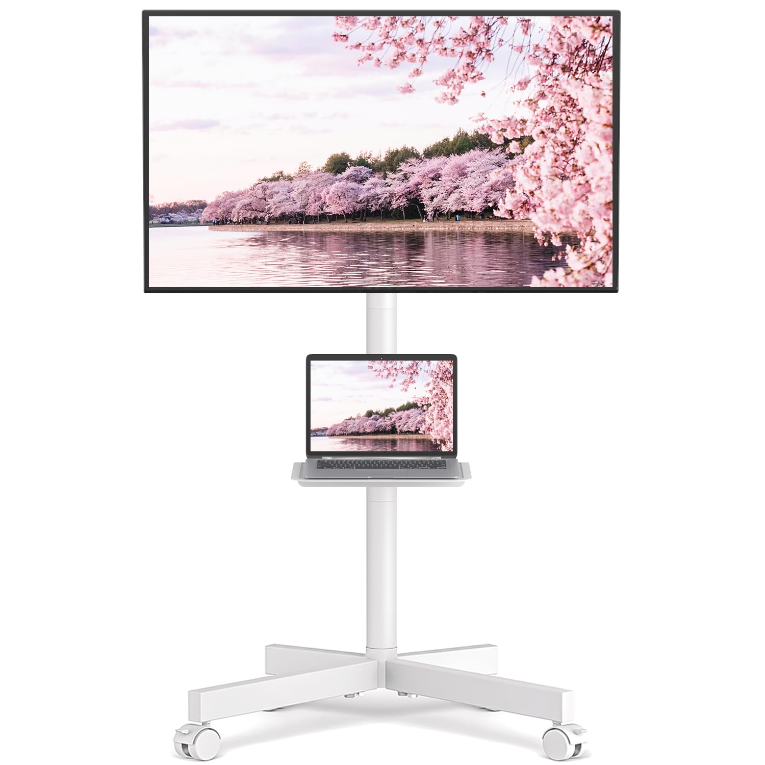 楽天市場】FITUEYES DESIGN テレビスタンド ロータイプ 55・88インチ