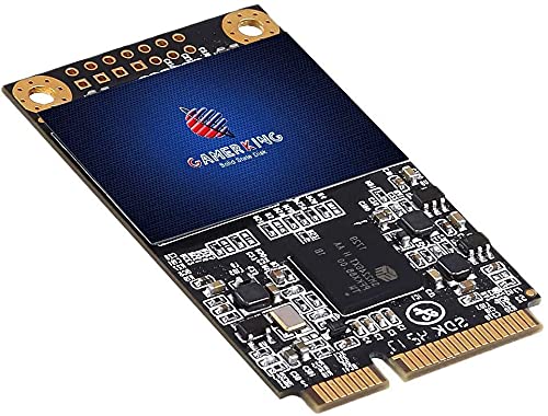 GamerKing SSD Msata 1TB SATA III 6Gb/s NGFF 内蔵型 Solid State Drive ハードドライブ 高性能ハードドライブノート/パソコン/デスクトップ適用 ソリッドステートドライブ 3年保証SSD (1TB,|湖南オンライン