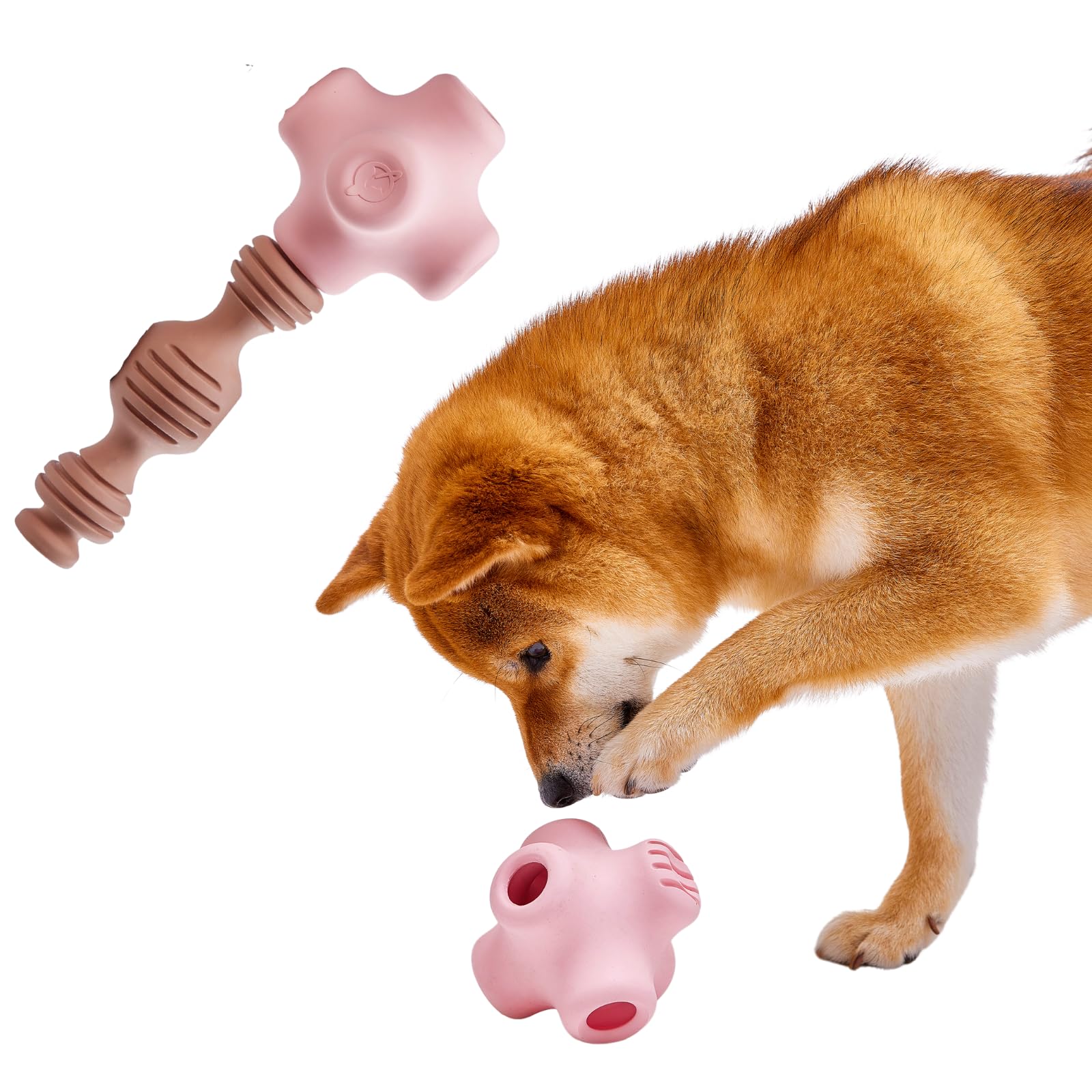 CaniPlay 犬用噛むおもちゃ 天然ゴム製 無添加 安全無毒 BPAフリー 犬 デンタルケア 20通りの組み合わせ 耐久性 獣医師＆犬訓練士監修