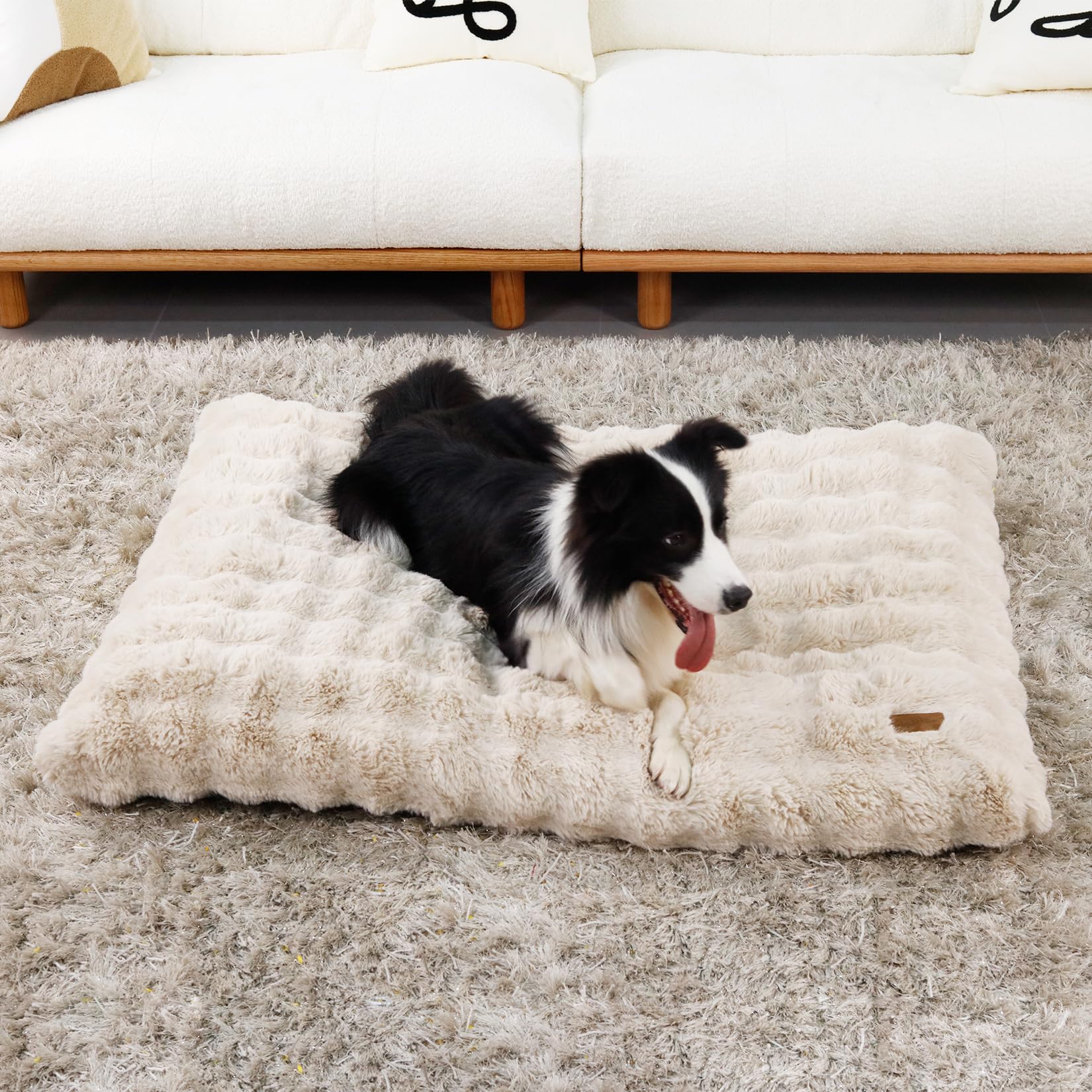 BingoPaw 犬用ベッド 大型犬 特大 防水 洗える 120x90cm ベージュ ペットベッド クッション 冬 噛んでも破れない マット 通年