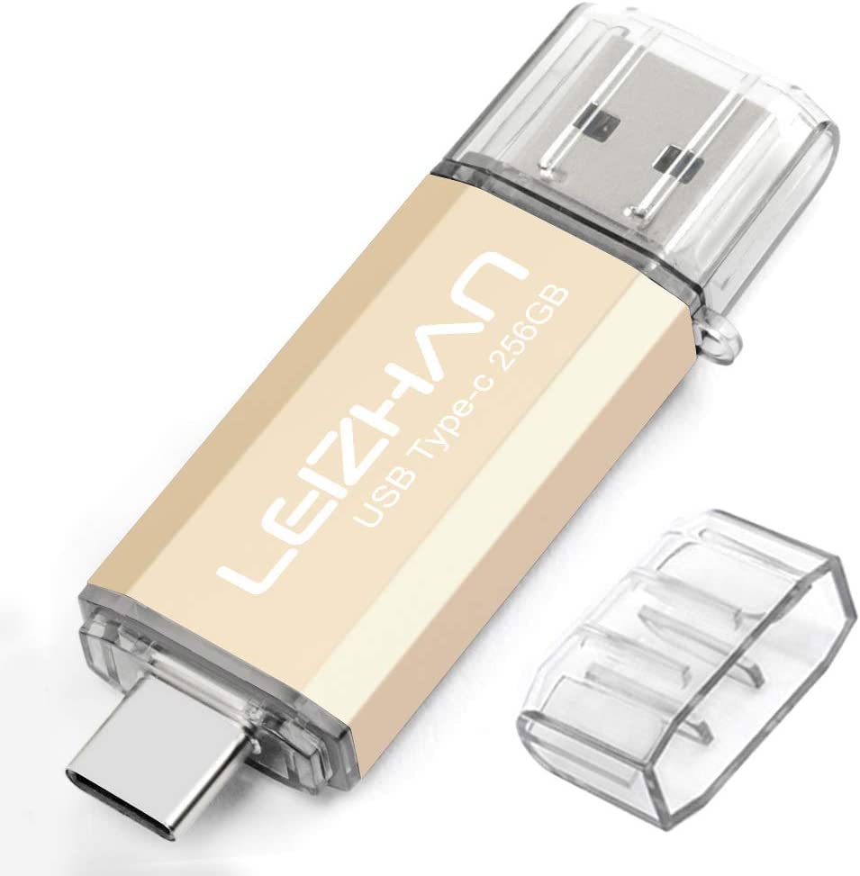 LEIZHAN TYPE-C USBメモリー・フラッシュドライブ 512G USB 3.0対応 高速転送OTG、スマホ・PC用、容量不足解消、マイクロペンドライブ、大容量Uスティック。(512GB, ゴールデン)