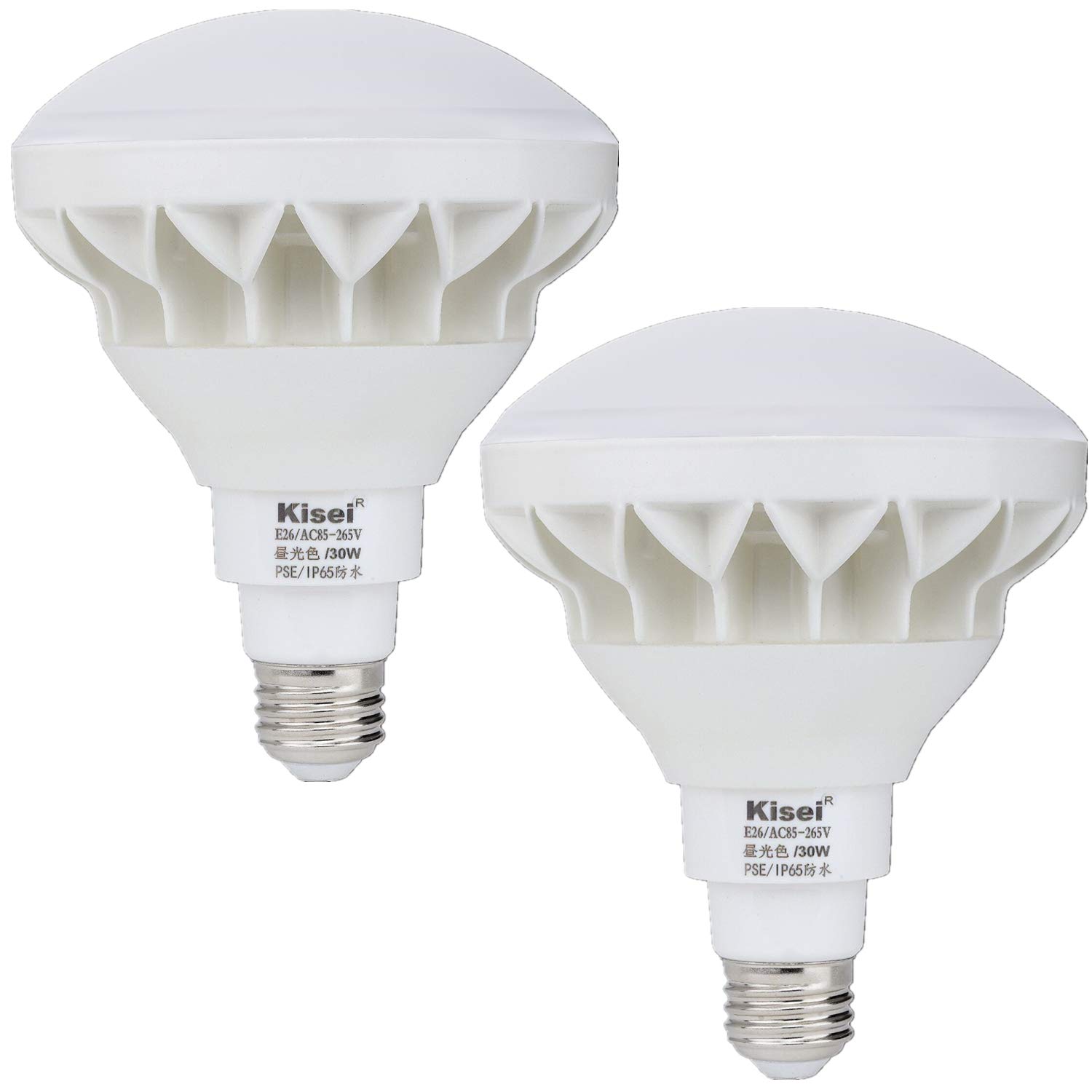 LEDビーム電球 IP65防水 超明るいタイプ 長寿命設計 140°広角 バラストレス水銀灯 レフランプの代替品 野外看板照明 ３年保証 E26口金 (30W-昼光色ー2個入り)