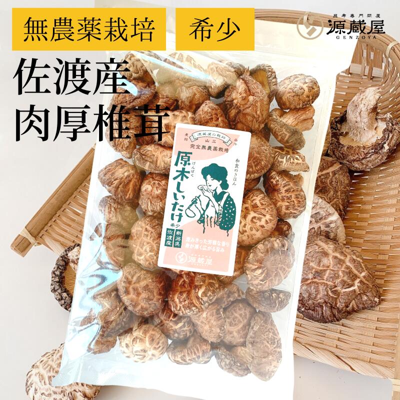 [大袋] 原木しいたけ 椎茸 肉厚 完全無農薬栽培 新潟県 佐渡産 250g【食卓応援セール】【沖縄配送不可】