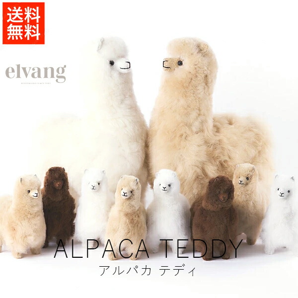 楽天市場】ぬいぐるみ くま テディベア ベビーアルパカ 毛 天然素材