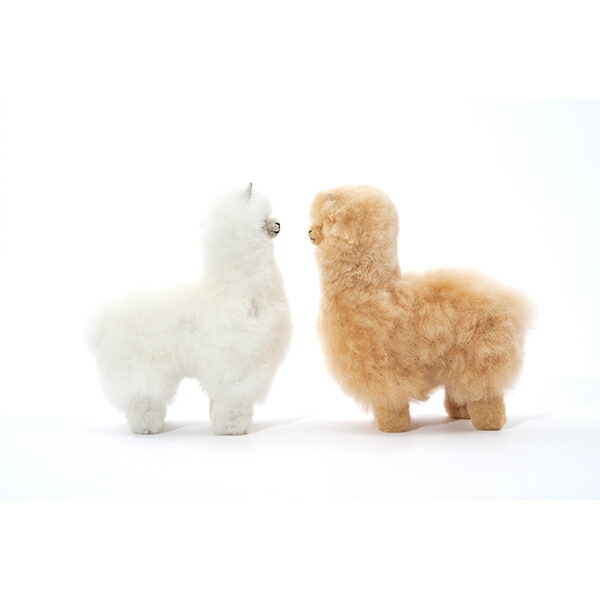 エルヴァン ELVANG アルパカ テディ ぬいぐるみ / 20cm・50cm【 送料