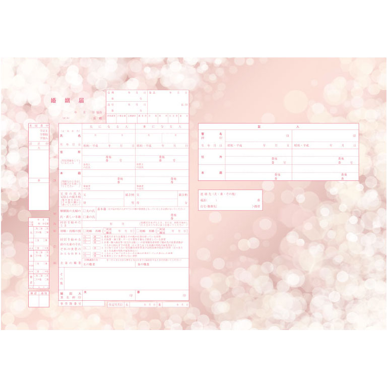 PLUSMATE 東雲樂 婚姻届 000000001971-01-m.jpg?t=