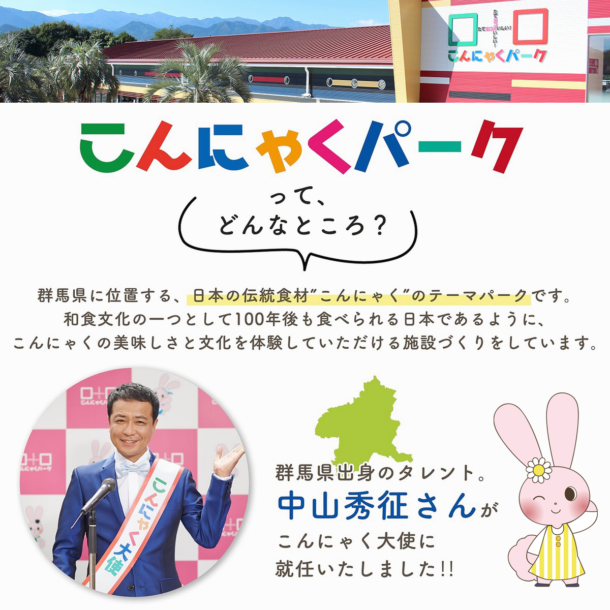 こんにゃく米ダイエットヨコオデイリーフーズつぶこんにゃくこんにゃくご飯お米風蒟蒻群馬県産0カロリー糖質ゼロ(150g*32袋入*1箱)