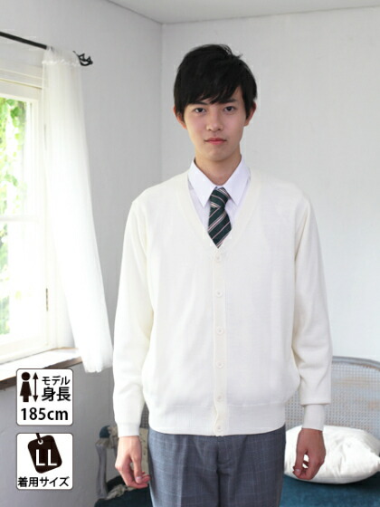スクールカーディガン 男子 全3色 高校生 中学生 カーディガン コットンアクリル 制服 スクール ネイビー 送料無料