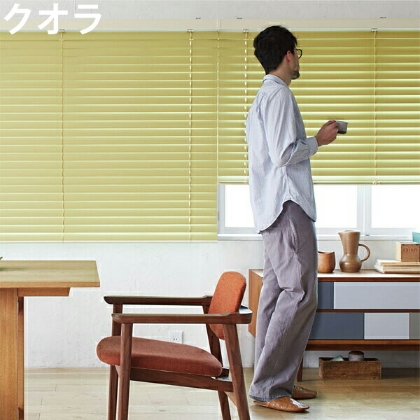 ニチベイ ブラインド クオラ B2001～B2027 ループコード式 幅201～220cm×丈181～200cm