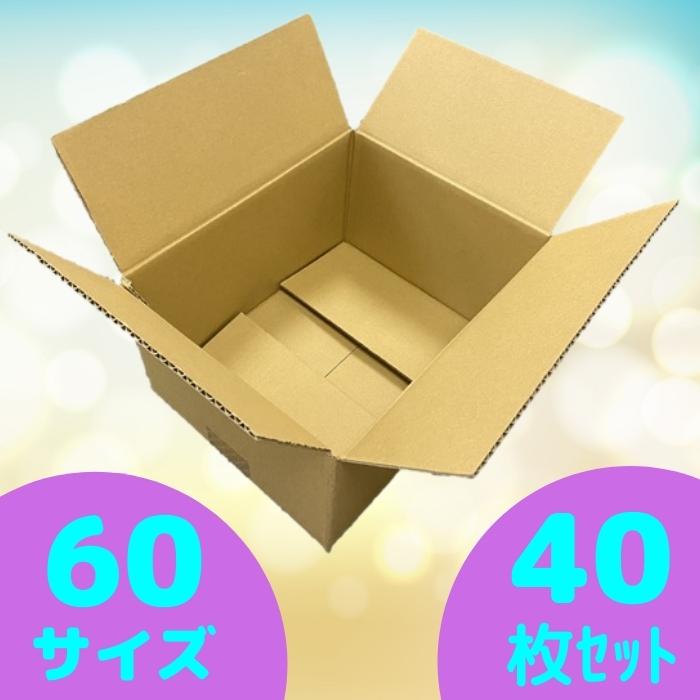 60%OFF!】 ダンボール 段ボール 60サイズ 40枚セット 宅配 みかん箱 引っ越し 梱包 外寸：250×200×145mm 国産品  qdtek.vn