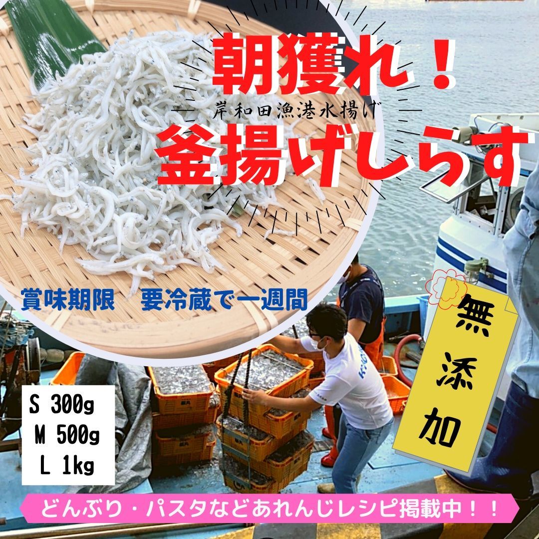 楽天市場 予約販売21年4月中旬以降出荷 随時発送 しらす 釜揚げしらす 朝獲り直送 新鮮 美味い 浜炊き 無添加釜揚げしらす ｓサイズ300ｇ これええやん店