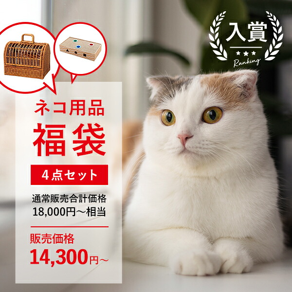 愛玩動物装置 お得な4点書き割り 猫用 | 愛玩動物持ちはこび うしろ側 キャリーバッグ 寝台 ゲージ 伏せ籠 愛玩動物住み家 ラタンキャリー 猫 爪とぎ ダンボール 猫用つめとぎ 猫 愛玩動物装置 ラタン グッズ 御徒面子 長いす 猫装置 猫 心うれしい書き割り お得 ガリガリ