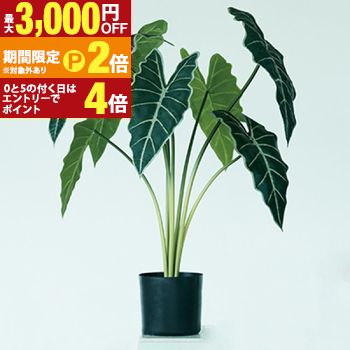 【最大3,000円OFFクーポン有・定最大PT2倍／18～20日限定】 プランター アロカシア 丸型 陶器 ガーデニング 木 屋外 室内 おしゃれ 観葉植物 野菜栽培 フラワーポット 多肉植物 水はけ 底穴付き 軽量 デザイン シンプル ベランダ 庭 園芸用品 モダン 植物育成 土入れ替え