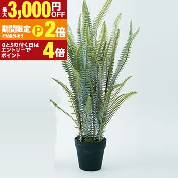 【最大3,000円OFFクーポン有・15日PT2倍！お買い物マラソン】 プランター ボストンファーン ガーデニング 植木鉢 屋外 室内 おしゃれ 観葉植物 野菜栽培 フラワーポット 多肉植物 水はけ 底穴付き 軽量 デザイン シンプル ベランダ 庭 園芸用品 モダン 植物育成 土入れ替