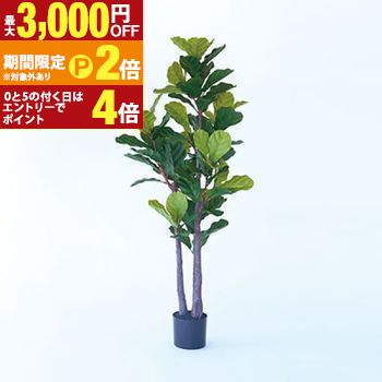 【最大3,000円OFFクーポン有・15日PT2倍！お買い物マラソン】 プランター カシワバゴム 木 陶器 ガーデニング 木 屋外 室内 おしゃれ 観葉植物 野菜栽培 フラワーポット 多肉植物 水はけ 底穴付き 軽量 デザイン シンプル ベランダ 庭 園芸用品 モダン 植物育成 土入れ替