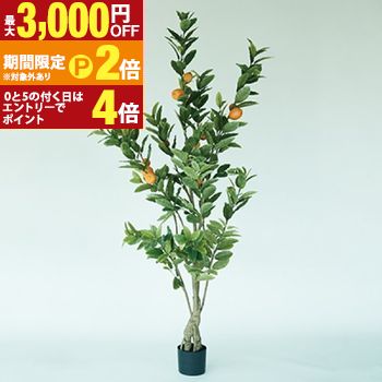 【最大3,000円OFFクーポン有・15日PT2倍！お買い物マラソン】 プランター レモン 丸型 陶器 ガーデニング 植木鉢 屋外 室内 おしゃれ 観葉植物 野菜栽培 フラワーポット 多肉植物 水はけ 底穴付き 軽量 デザイン シンプル ベランダ 庭 園芸用品 モダン 植物育成 土入れ替