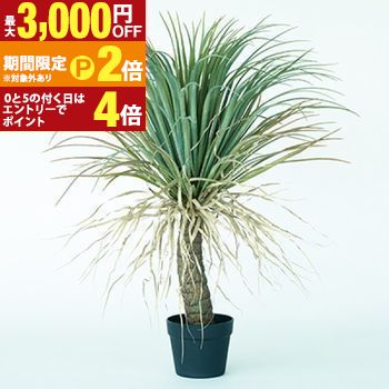 プランター ユッカ 丸型 陶器 ガーデニング 植木鉢 屋外 室内 おしゃれ 観葉植物 野菜栽培 フラワーポット 多肉植物 水はけ 底穴付き 軽量 デザイン シンプル ベランダ 庭 園芸用品 モダン 植物育成 土入れ替え グリーンイン【最大3,000円OFFクーポン配布中|25日P2倍】|【コ・レ・ダ】 家電*インテリア