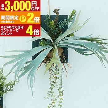 【最大3,000円OFFクーポン有・15日PT2倍！お買い物マラソン】 ビカクシダ ウォールハンギング スレート 20 ／ 造花 フェイクグリーン ビカクシダ ウォールハンギング スレート20 インテリア 雑貨 アレンジメント 観葉植物 人工植物 おしゃれ 壁掛け コウモリラン