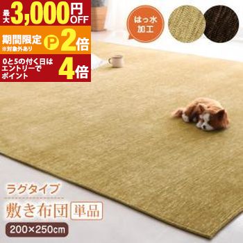 こたつ こたつ布団 おしゃれ 洗えるデザインこたつ布団シリーズ おしゃれ 敷き布団単品 ラグタイプ 200&times;250cm【最大3,000円OFFクーポン配布中｜25日P2倍】｜【コ・レ・ダ】　家電＊インテリア 11,355円