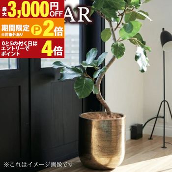 プランター | 鉢 植木鉢 玄関 オフィス ビル アンティークゴールド ミンクブラック 金 黒 インテリア 庭園 園芸 ホテル ナチュラル 自然 ガーデン 庭 ポット アンワール カーフ 観葉植物 かわいい おしゃれ シンプル 無地 ガーデニング 花 お花 軽量 アルミニウム 屋内向け