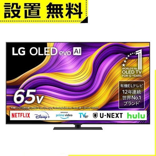 全国据え付ける無料 LG 有機ELテレビ受像機 OLED65G5PJB | エルジー  LG Electorinics 65V型 4K相応う BS 4Kラジオ受信機内蔵 YouTube・Netflix相応う 黒いこと