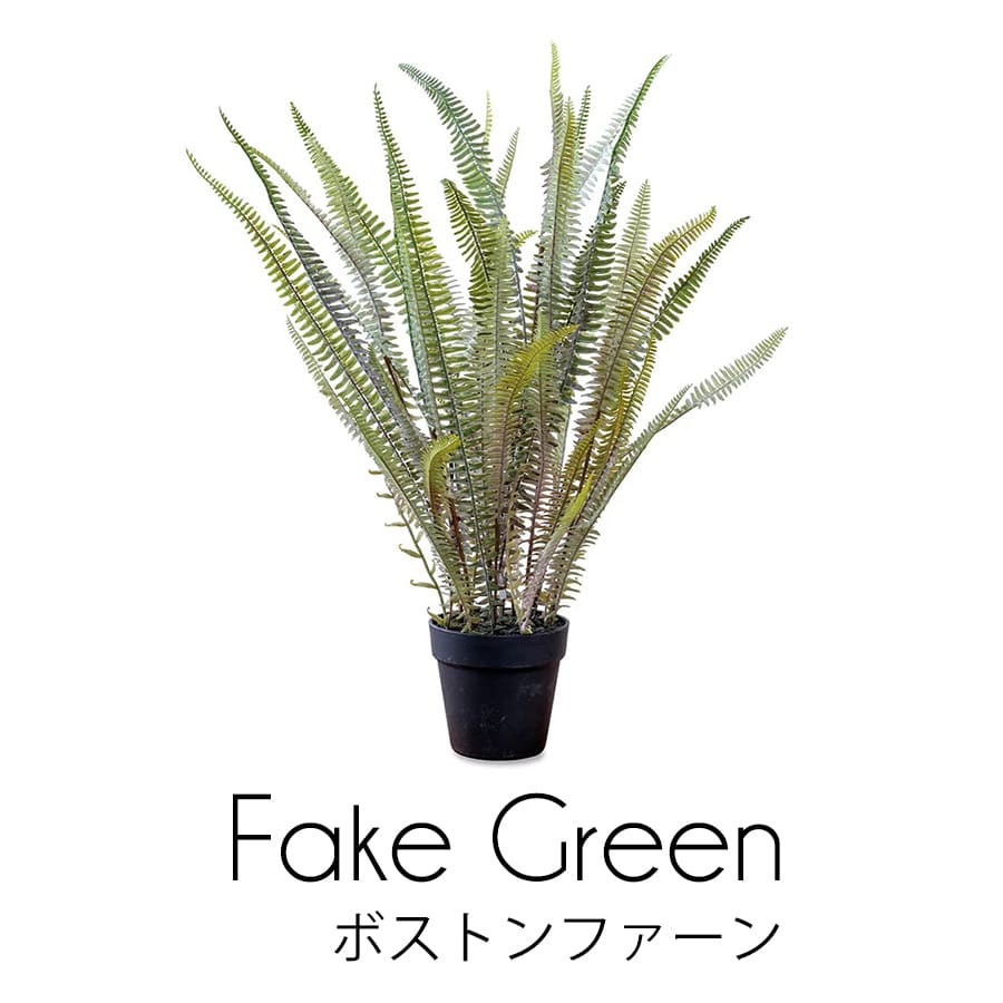 フェイクグリーン | 造花 ボストンファーン 人工草木 室内装飾 喫茶店風 今めかしい 人工観葉草木 喫茶店苑地 南国 見せびらかす 雑貨 如何様物 緑であること お出でになる感 観葉草木 お取りつくろういらず おお部屋 お出でになる感 うつり変わり 屋内かざり付ける用 屋内用 一般受け 癒し 人工あずま屋 草木 鉢植 鉢植え