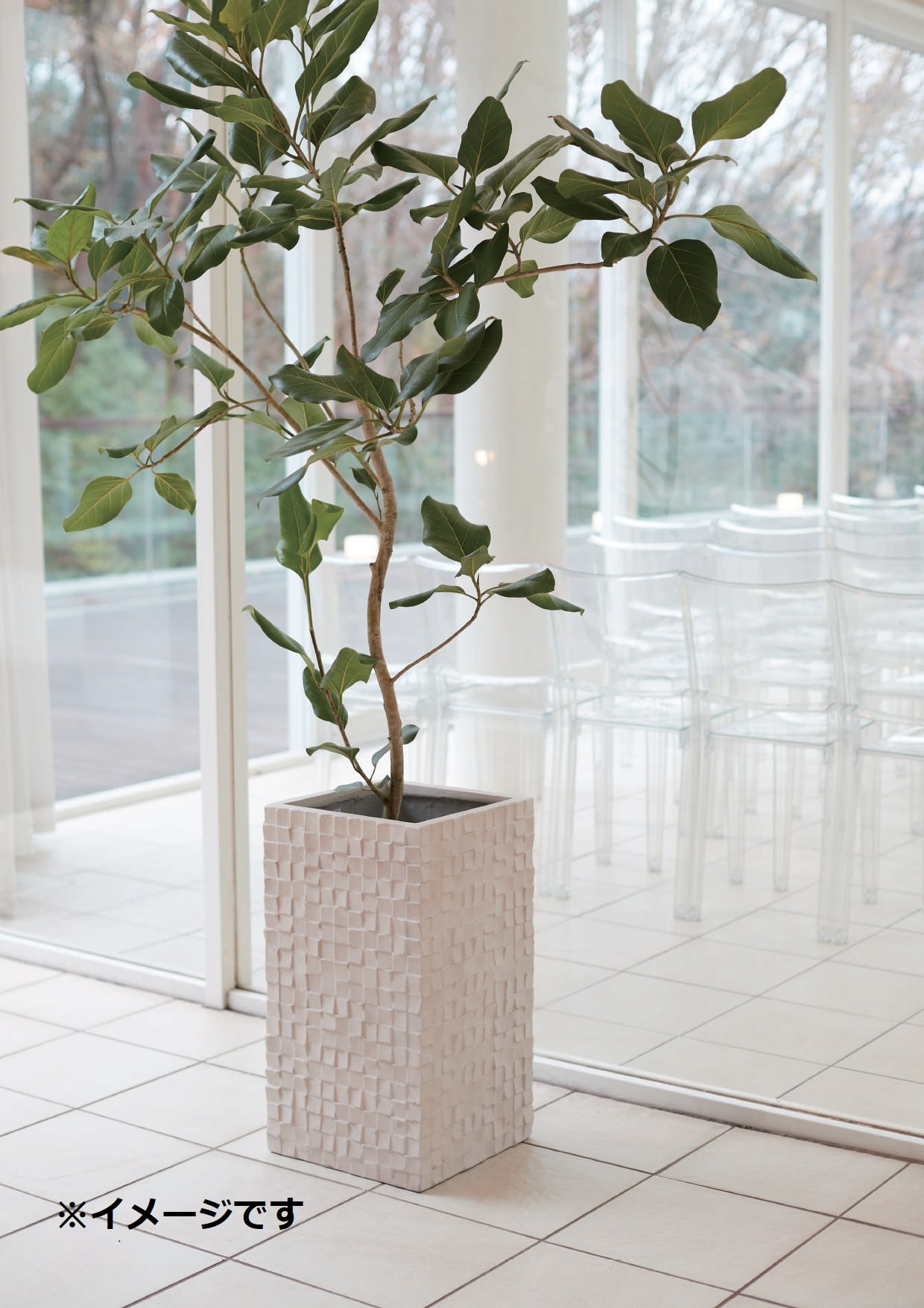 最安値挑戦 ガーデンポット Mガーデンポット ポット 鉢 植木鉢 プランターカバー 植物 おしゃれ カフェ風 ガーデニング かわいい ベージュ Www Thelodgemaribaya Com