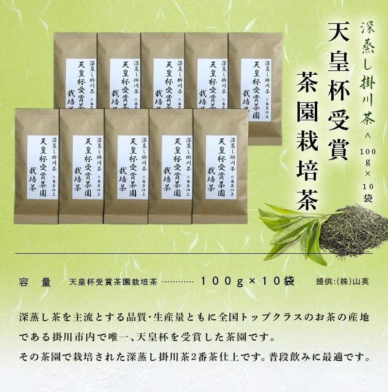 天皇杯受賞茶園栽培茶 100g×10袋 深蒸し掛川茶 山英 ワンピなど最旬ア！