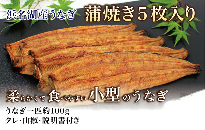 【産直商品】浜名湖産うなぎ長蒲焼き5枚入り『柔らかくて食べやすい小型のうなぎ』