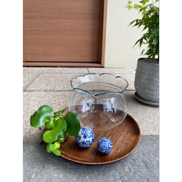 花のまちころぼっくる 送料無料 水草 観葉植物 雑貨 Educaps Com Br