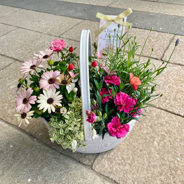 市場 お花が溢れるバスケット型の寄せ植え かわいい 鉢植え 華やか 季節の寄せ植え おしゃれ 苗 寄せ植え プレゼント