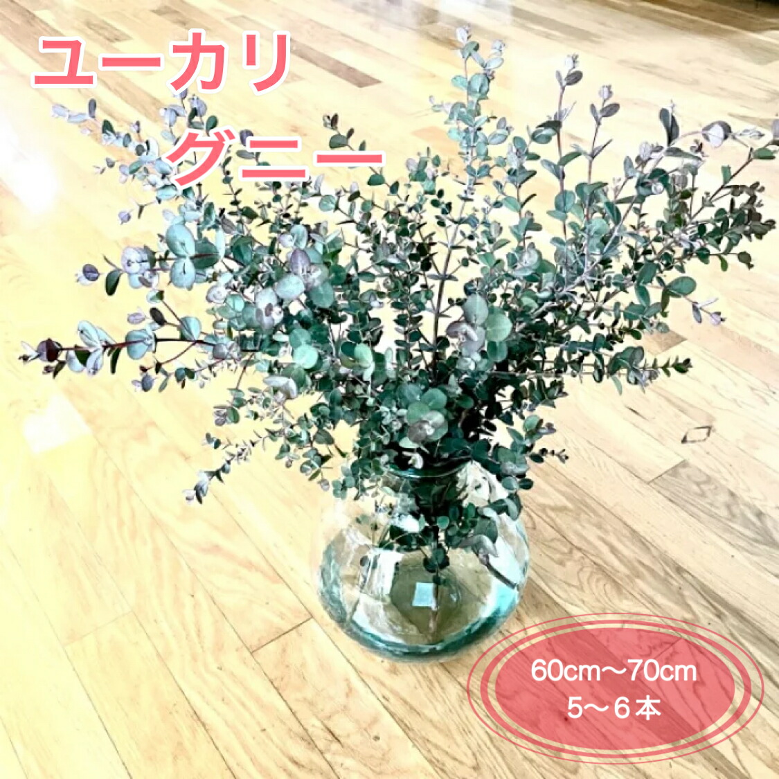 楽天市場】枝もの ユーカリ 香り( 銀世界 グニユーカリなど 5本 切花