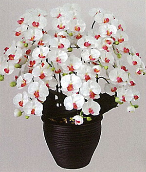 特売 楽天市場 本物のような造花 光触媒 胡蝶蘭l １０本立ち 花のまちころぼっくる 安い購入 Www Trailconnections Com